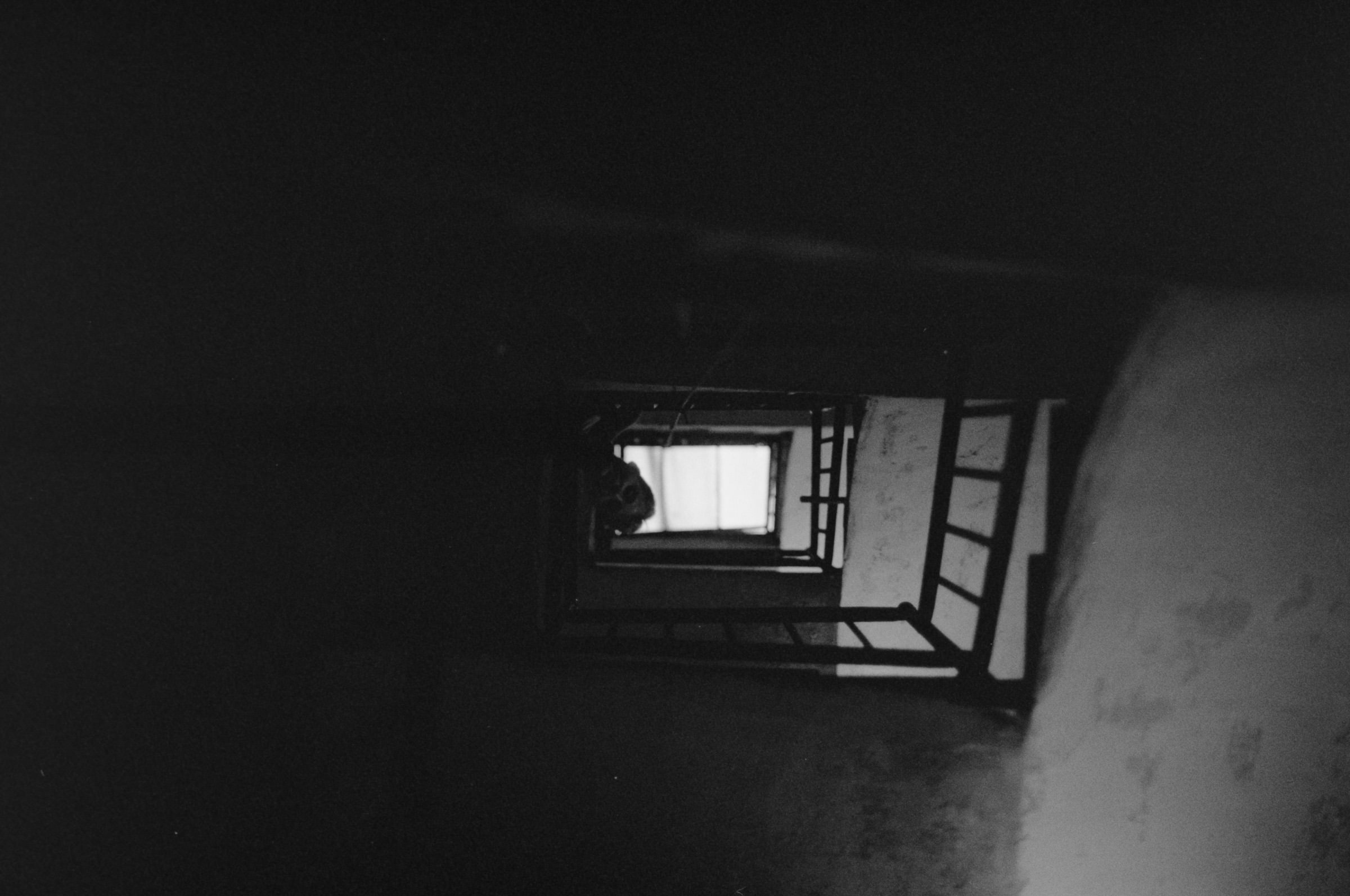 AHP F1995 10 003 sc240815 img25 NLP